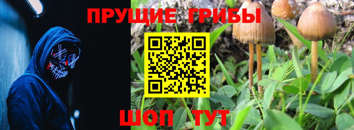 Кудымкар  Галлюциногенные грибы мухоморы  Вход с VPN 